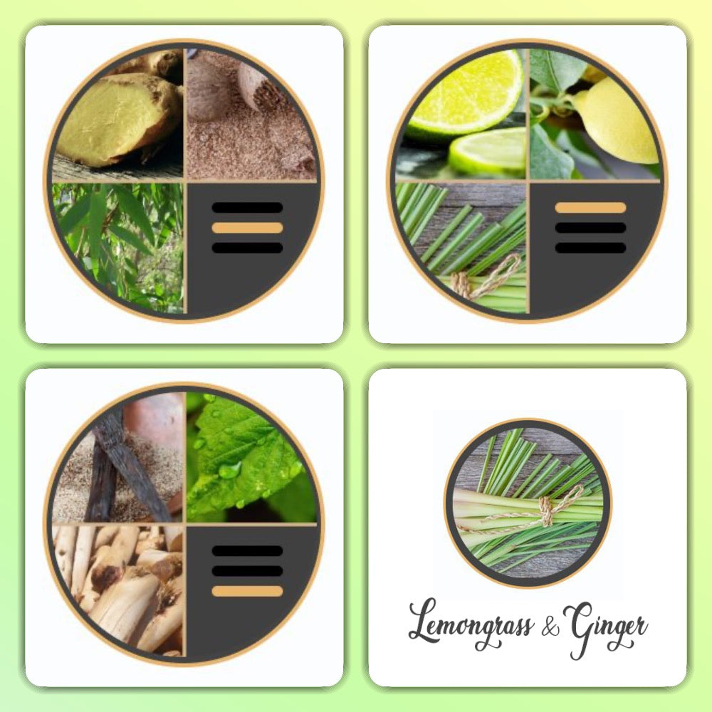 Lemongrass & Ginger  - Luxury Reed Diffuser Refill 150ml