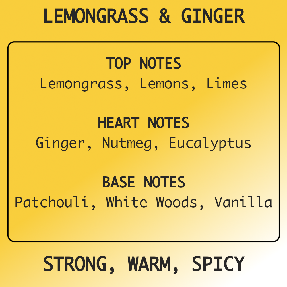 Lemongrass & Ginger  - Luxury Reed Diffuser Refill 150ml